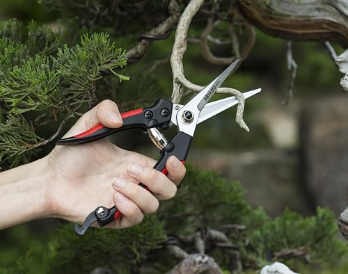 Kimura® 8" Pro Pruning Scissors, Premium Japanese SK5 Hi-Carbon Steel Blades, Non-Slip Vinyl Coated Handles, Lightweight & Ergonomic, Multi-Tasking Pruning Shears, Garden Snips, Precision Clippers - size: 8.2"