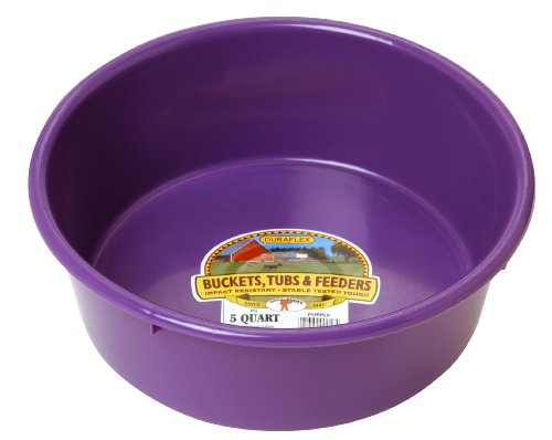 Little Giant® Plastic Utility Pan | Feed Pan | Durable & Versatile Livestock Feeding Bucket | Made in USA | 5 Quart | Purple - color: Purple, size: 5 Quart