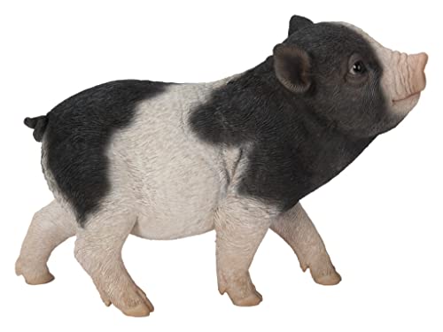 Hi-Line Gift Baby Pig Standing - Black and White