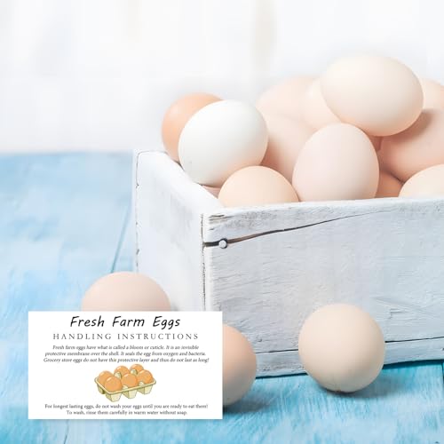 300PCS Fresh Eggs Handling Instructions Cards, 2x3.5" | for Egg Carton, Farm, Supermarket