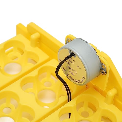 Egg Turning Tray, Incubator Chicken Multifunction Automatic Turner Tray Quail Incubation, Incubators for Hatching Eggs (DC12V) - size: DC12V
