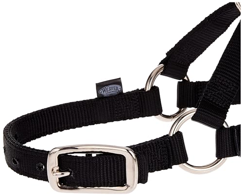 Weaver Livestock Llama Halter, Black, Small (35-7085-BK)