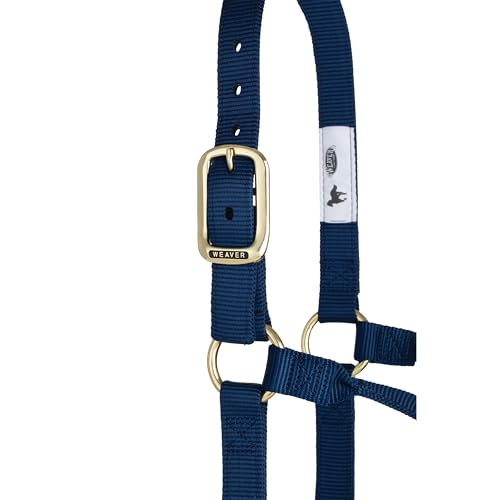 Weaver Leather Original Non-Adjustable Nylon Horse Halter, Large, Navy