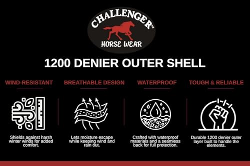 Challenger 1200D Turnout Waterproof Rain Horse Sheet Light Winter Blanket 378B - color: Turquoise Aztec, size: 74 inches
