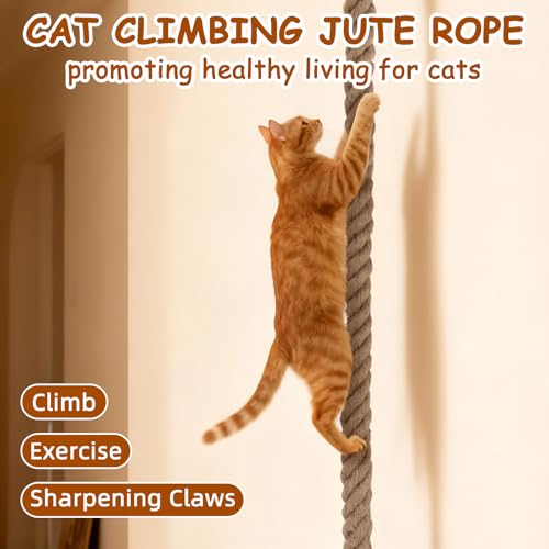 2" x 4.92Ft Cat Climbing Jute Rope with Hook for Wall Mounting | Thick Sisal Material, Ceiling Hanging Option, Heavy Duty Scratching Post Alternative, Indoor Outdoor Active Gym for Kittens - size: 59 IN(1.5M)