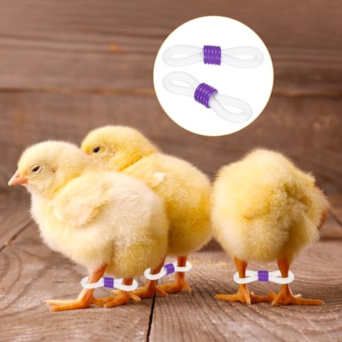 M METERXITY 100-Pack Adjustable Chick Leg Bands, 0.79" x 0.2" Silicone Chicken Leg Brace for Chicks/Ducks/Birds [Purple] Poultry Leg Bands - color: Purple