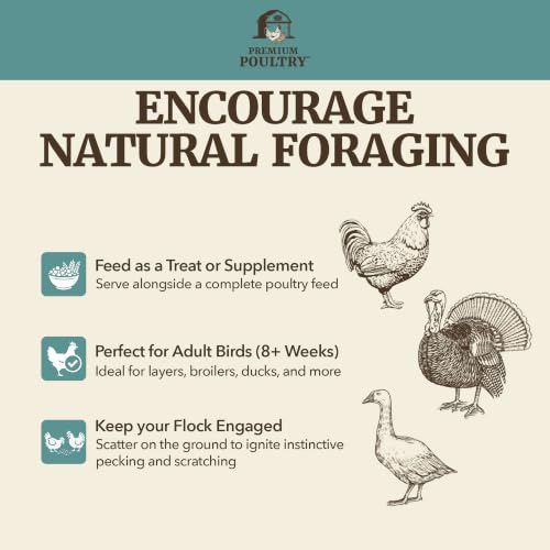 Scratch Grain for Chickens & Wildlife, 40lb, Made in USA | Natural Whole Grains, Supports Foraging & Energy, Encourages Pecking & Activity, Ideal for Mixed Poultry Flock - size: 40lb (Pack of 1), style: Scratch Grain
