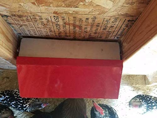 DUNCAN'S FAMILY FARM STORE Space Saving Mountable Steel Poultry Feeder (Front Feed, Front Loading)