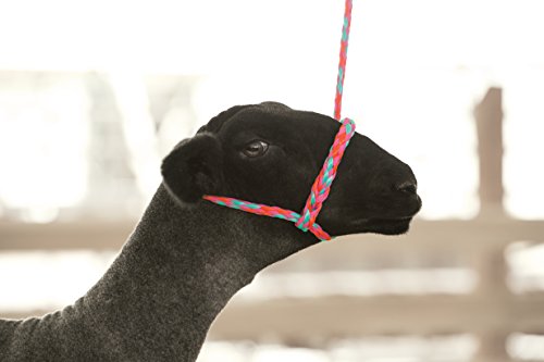 Weaver Leather Livestock Poly Rope Sheep Halters