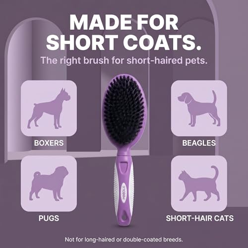 Soft Bristle Dog Brush For Short Haired Cats Or Dogs - Firm Bristles To Remove Dust, Dirt, And Loose Fur - Hook And Rubber Handle