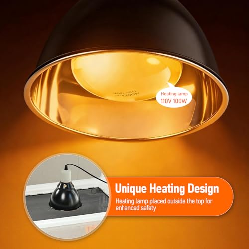 Chick Brooder Box with Adjustable Heat Lamp, Waterer & Feeder | Foldable Plastic Brooder Box for Chicken Chicks Ducks Quail Baby Birds, Transparent Visible, Easy to Clean, Waterproof