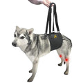 AGON Canine Dog Sling Carrier Support Back Legs Hip Knee Hock Joint Harness to Help Lift Dogs Rear Aid and Old K9 Cruciate (Small, Black) - size: Small