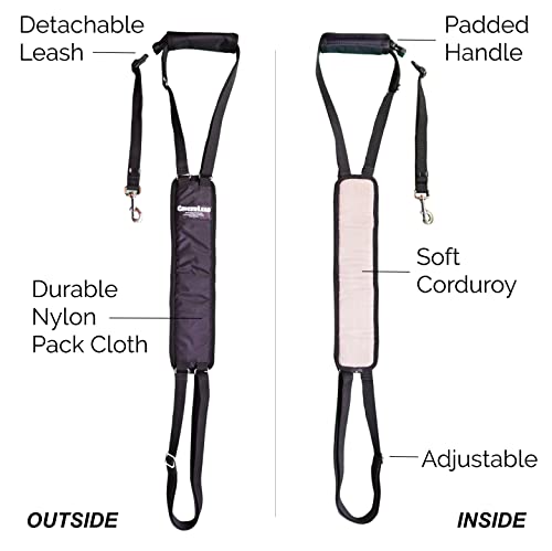 GINGERLEAD Dog Rear Sling Support Harness, SM Female, Machine Wash & Dry | Fits Small to Medium Size Dogs or Larger Barrel-Chested Breeds like Boxers, Bullies. Padded, Integrated Leash. Made in U.S.A. - size: Small - Female