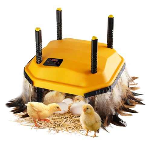 10 * 10inch Chick Brooder Heater Plate with Temperature Adjustable and Display,Adjustable Height & Angle Brooder Box for Baby Chicks Quail Duckling Chicken Heat Warmer Lamp Poultry Habitat Supplies