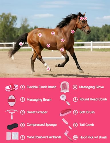11-Piece Horse Grooming Kit with Waterproof Tote Pink Garnet | 10 coordinated horse grooming tools with comfort-grip designs and a spacious waterproof tote for complete horse grooming - color: Pink Garnet