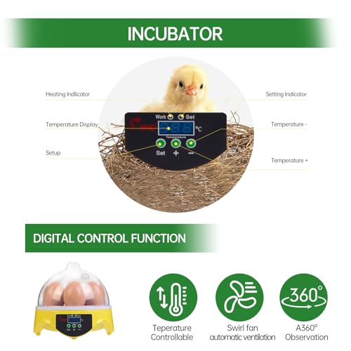 360° View 7-Egg Poultry Incubator for Hatching Chicken, Duck, Goose, Parrot, and Quail Eggs, with Temperature Control