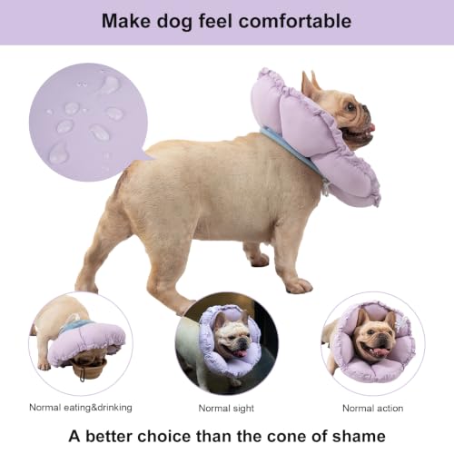 Dog Cone Collar Stress-Free Recovery Cone Alternative: Adjustable Depth & Diameter for Wide-Neck Dogs (Pugs, Bulldogs, Bullies) Purple Flower XL-B - color: purple, size: XL-B