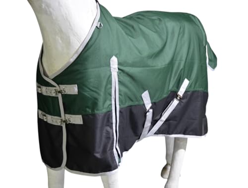 1200D Waterproof Light Weight Poly (100g Fill) Horse Winter Turnout Blanket with Standard Neck AT010002 (Green, 81") - color: Green, size: 81"