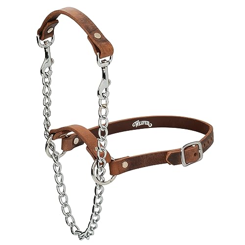 Weaver Livestock Leather Total Control Goat Halter, Water Buffalo