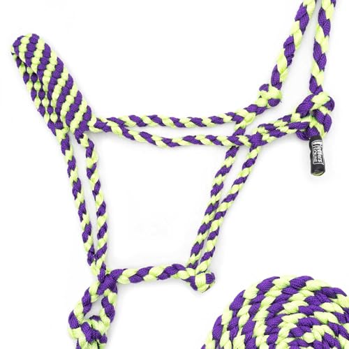 Jeffers Equine Braided Mule Tape Halter with 10' Detachable Lead Rope Set for Horses, 14 to 18 Hands - Stylish Design with Adjustable Poll Strap, Easy to Use Western Tack - Purple & Lime Green - color: Purple & Lime Green