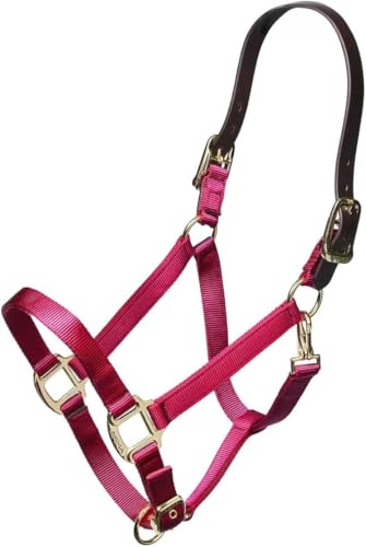 ARMA Shires Nylon Halter with Leather Head Strap - color: Raspberry, size: Cob