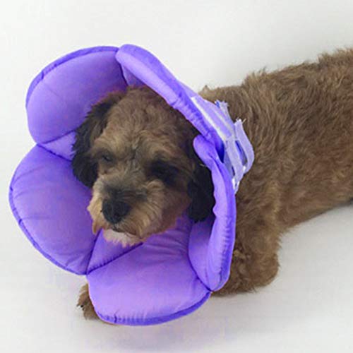 POPETPOP Flower Dog Recovery Collar Elizabethan Pet Collar for Cats and Dogs Lightweight Wound Protection Cone for Post-Surgery Helps Prevent Scratching and Licking 14.56 X 9.84 X 0.39 in