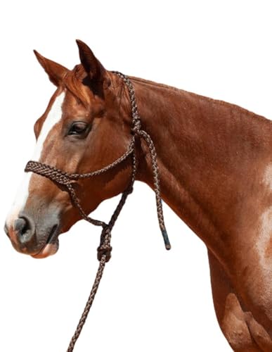 Cashel Flat Braid Halter and Leadrope - color: Brown