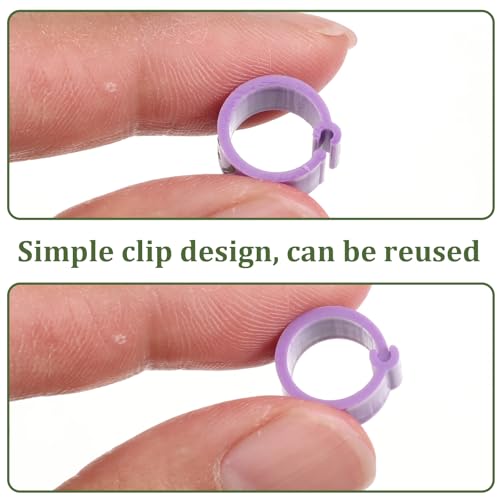 100Pcs Chicken Leg Bands, 8mm Birds Leg Rings | 10 Color Readable Numbered Chicken Leg Rings Clip-On Poultry Foot Ring for Baby Chick Bantam Finch Dove Small Birds