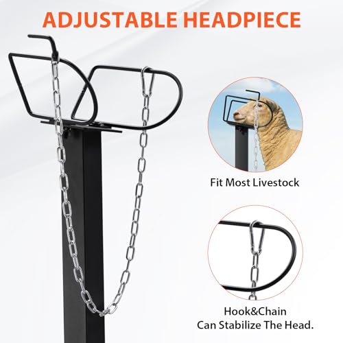 GTPLAYER Goat Milking Stand with Hand Crank,Wheels – 48"x23" Adjustable Headpiece & Height, for Grooming, Milking, Hoof Trimming, Heavy Duty Metal Sheep/Goat Stand, 500 LB Capacity Black