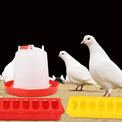 6 Pack Chicken Feeder Waterer Set, 1L Feeder Flip Top Feeding Dispenser with Anti-Spill Design for Pigeon, Chick, Duckling, Quail, Durable Plastic Feeding Supplies for Small Poultry Backyard Birds