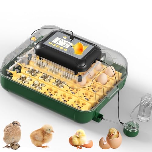 25 Egg Incubator for Hatching Eggs with Automatic Egg Turning, Temperature & Humidity Display, Hatch Day Countdown, Auto Water Refilling System, Egg Candler, Multifunctional Egg Tray for Chicken - size: M-125 Quail Eggs