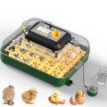 25 Egg Incubator for Hatching Eggs with Automatic Egg Turning, Temperature & Humidity Display, Hatch Day Countdown, Auto Water Refilling System, Egg Candler, Multifunctional Egg Tray for Chicken - size: M-125 Quail Eggs