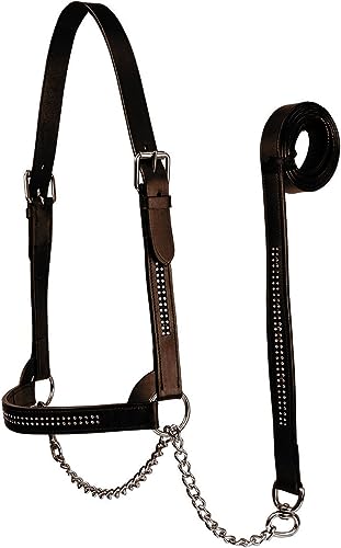 Derby Originals New and Improved Premium Crystal Bling Rhinestone Inlay Flat Leather Cattle Show Halter with Matching Chain Lead - color: Havana, size: Large (950lbs-1500lbs)