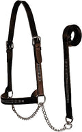 Derby Originals New and Improved Premium Crystal Bling Rhinestone Inlay Flat Leather Cattle Show Halter with Matching Chain Lead - color: Havana, size: Large (950lbs-1500lbs)