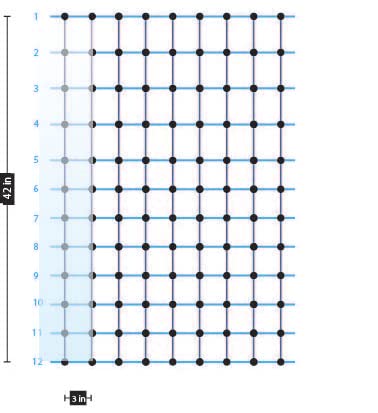 Standard Electric Poultry Netting 42" x 82' (11/42/3) Electric Chicken Fencing for Backyards, Homesteads, Farms, and Ranches