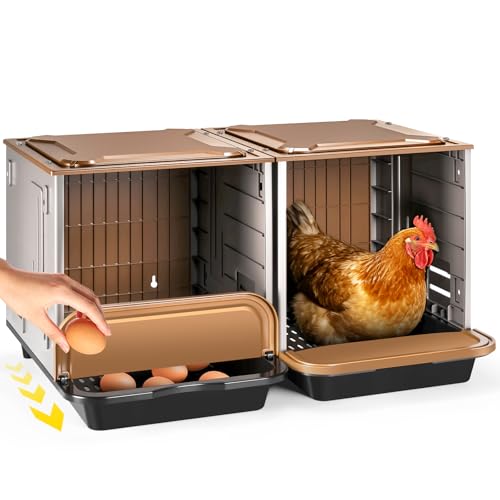 Chicken Nesting Box, 2 Compartment Nesting Boxes for Chickens, Large Chicken Laying Boxes for Egg Collection & Hen on Nest, Roll Away Nesting Boxes Chicken (Extra Large)
