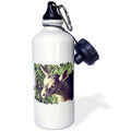 3dRose Dairy Goat Billy Kid Photographed by Angelandspot Sports Water Bottle, 21 oz, White