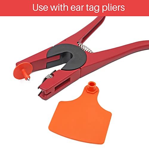 4.1" L×3.5" W Cattle Ear Tags Big Blank 100PCS Livestock Identification TPU | Cow Ear Tags for Cattle Laser Tags for Cows Pigs Hog Goats Sheep Calf Animal Goat Sheep Earring Tags Non-fading (Orange) - color: 7-orange