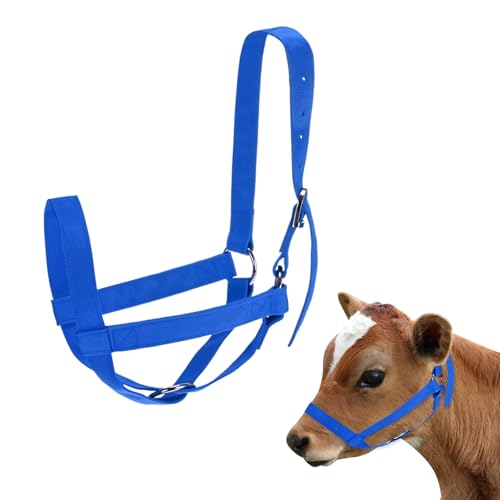 M METERXITY 1-Pack Adjustable Cattle Cow Calf Halter, 19.68"-23.62" Nylon Livestock Cow Halter for Miniature Horse/Donkey/Goat/Cattle [Blue]