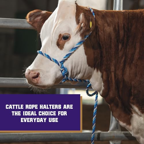 Weaver Livestock Braided Poly Rope Cattle Halter, Adjustable Cow Calf Halter, Livestock Handling Equipment for Showing, Dark Blue/Hurricane Blue/Gray - color: Dark Blue/Turquoise/Gray, size: One Size