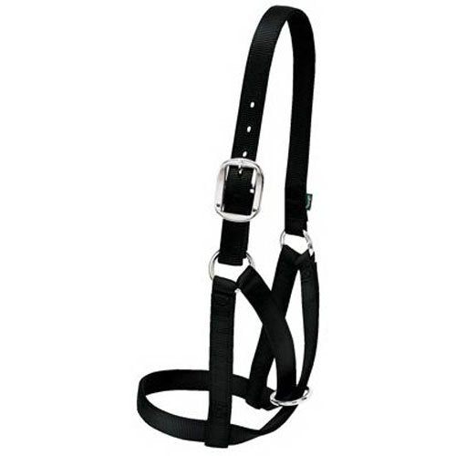 Weaver Livestock Barn Cow Buckle Cattle Halter, Adjustable, Modern Style Cow Calf Halter, Livestock Handling Equipment for Showing, Black - color: Black