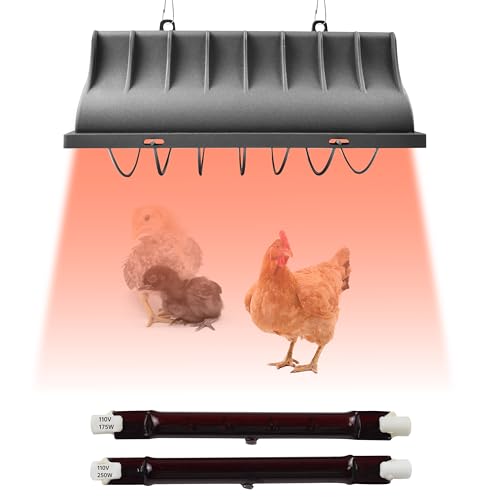 Chicken Coop Heater for Chicks,Brooder Heater with 2pcs Heat Lamp(250W and 175W),Adjustable Temp & Height Chicken Brooder Box Supplies for Chicken Livestock Dogs Sheep Pets