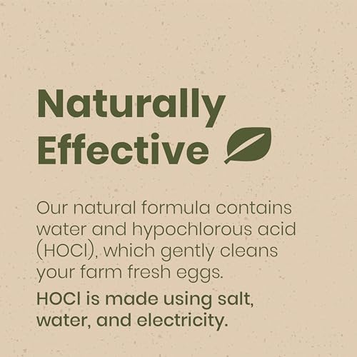 Egg Wash for Fresh Eggs, All-Natural Formula, 32oz Spray | Fresh Chicken & Duck Eggs, Hypochlorous Acid, Remove Dirt, Food Safe, Fragrance-Free, Non-Toxic Cleaner, No Chemical Residue - size: 32 Fl Oz (Pack of 1)