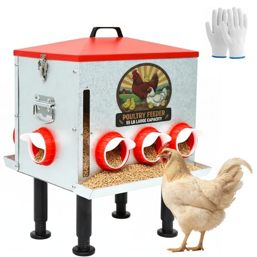 55LB Automatic Chicken Feeder Large with 8 No-Waste Ports | Large Poultry Feeder, Adjustable Legs, Viewing Window, Rainproof Lid, Locking Cover for Chickens, Ducks and Poultry