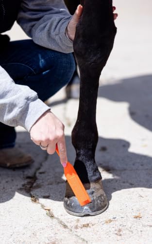 HoofWand • Horse Grooming Supplies for Daily Cleaning & Maintenance - HoofCare - Hoof Cleaner - Hoof Snow & Ice Removal - Pastern Cleaning - Coronary Band