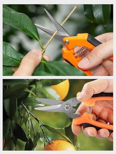 GROWNEER 3 Pack Garden Scissors kit Professional Garden Pruning Shears Stainless Steel Garden Shears Gardening Clippers Flower Plant Scissors Tools Arthritis Weak Hand Pruner Work 3 Times Easier - style: Yellow