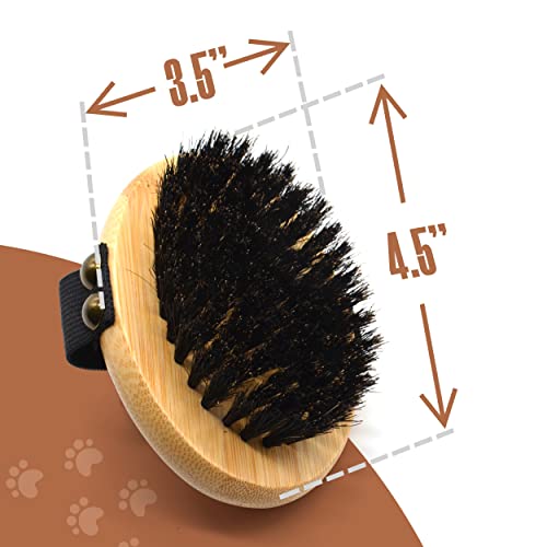 The Buddy System - Pet Close Brush, Oval Palm Brush with Boar Bristles | Dog & cat grooming brush for shedding, massage, healthy coat, and pet hair care. Fits in your palm for daily grooming - color: Boar Bristle