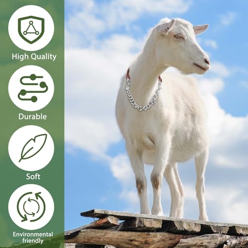 Misdary 2 Pcs Goat Show Collars, Adjustable 14"-24" Iron Chain Halter for Sheep, Horses, Dogs, Cows & Calves, Farm Animal Supplies Accessories Animal Lovers Gift (14'',Brown) - color: Brown