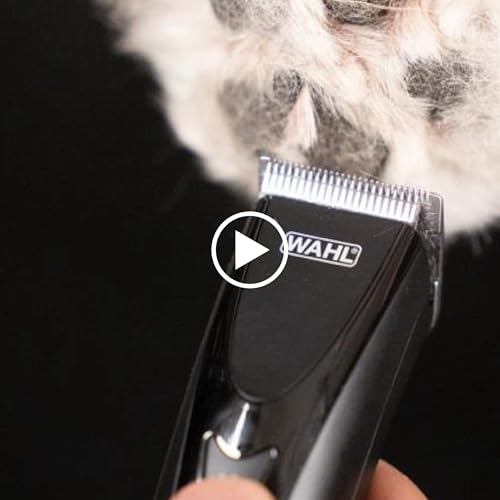 Wahl Pro Animal Stainless Steel Attachment Comb Set, Multicolor 1 | 8 Cutting Lengths, Color-Coded Dog and Cat Clipper Guides, Animal Grooming Essentials, Snag-Free Cutting - color: Multicolor 1