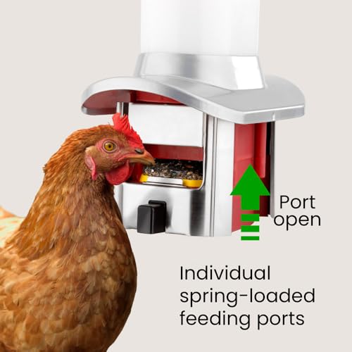 Roamwild Rat Proof Chicken Feeder kit - Rat Proof Poultry Feeder – Weather Proof - 8lbs Capacity - NEW PRODUCT